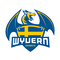Wyvern eSports