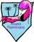 Miami Flamingos