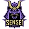 Sensei e-Sports