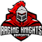 Raging Knights