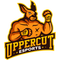 Uppercut esports
