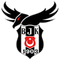 Beşiktaş Academy