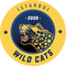 İstanbul Wildcats Academy