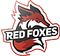 Red Foxes
