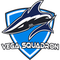 Vega Squadron
