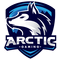 Arctic Gaming