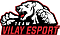 Vilay eSport