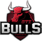 GTZ Bulls