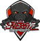 EnerGiz eSport