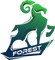 Forest Esports