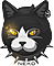 Neko