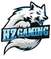HZ Gaming