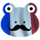 FrenchFrogs