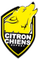 CITRON CHIEN