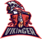 VIKINGER