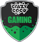 Crazy Coco Gaming