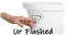 Ur Flushed