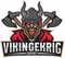 Vikingekrig Esports