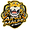 AING MAUNG Esports