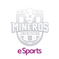 MinerosFC
