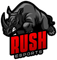 Rush Esports