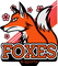 Foxes e-Sports