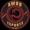 AWOB Esports
