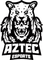 Aztec Esports White