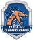 Delhi Dragons