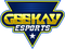 Geekay Esports