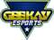 Geekay Esports