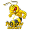 Yellow Jackets