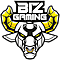 Biz gaming