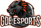 GDE eSports