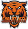 SaberTooth Esport