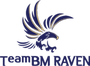 BM RAVEN