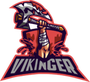 VIKINGER
