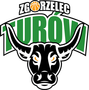 Turów