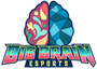 Big Brain