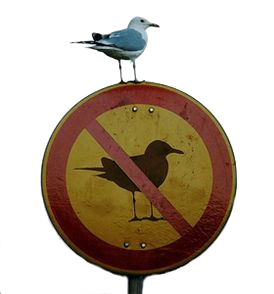 MadLads
