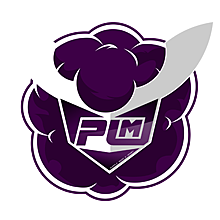 PLM