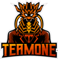 T1