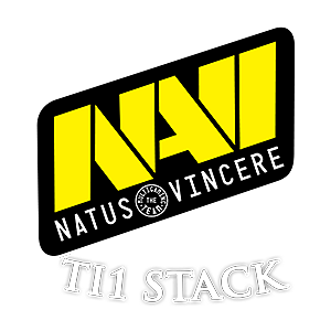T1 NAVI
