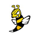 Wasps