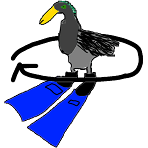 Pato