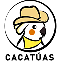 CCT