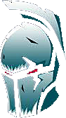 FST