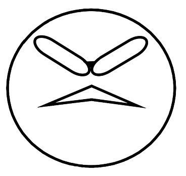 VSM
