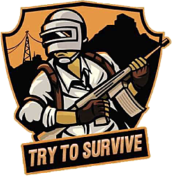 T2S