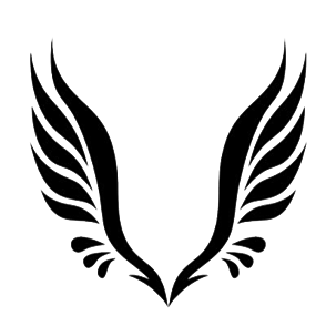 FlyV